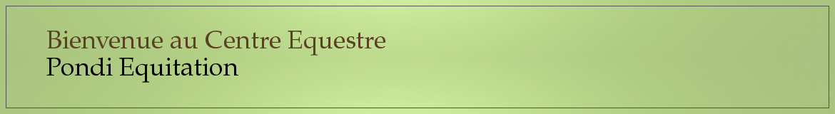 Bienvenue au Centre Equestre 